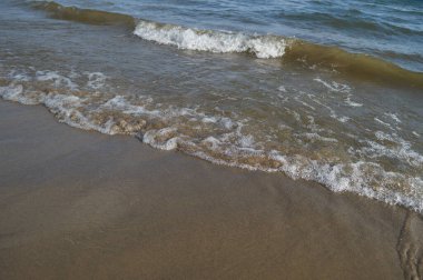 Nehir kıyısındaki kumsalda küçük dalgalar akıyor..