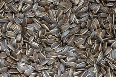 Siyah beyaz tenli bir sürü ayçiçeği tohumu.