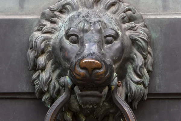 Antique bronze door knocking knob ring in the form of a lion\'s face on an old door.