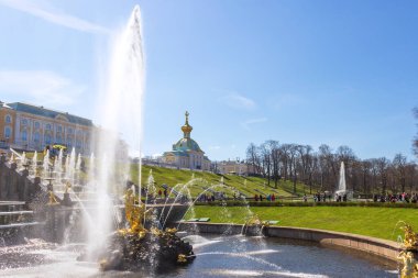 St. Petersburg, Rusya - 07 Mayıs 2018: Peterhof 'daki Büyük Çeşmeler Şelalesinin önündeki Samson Çeşmesi.