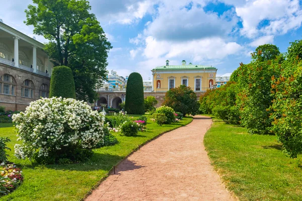 São Petersburgo Rússia Junho 2021 Jardim Flores Palácio Catarina Pushkin — Fotografia de Stock