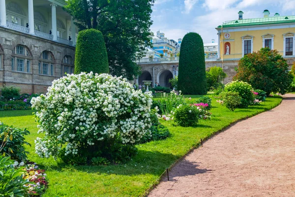Санкт Петербург Россия Июня 2021 Года Цветочный Сад Екатерининском Дворце — стоковое фото