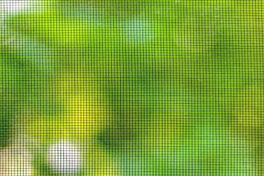 Pencerenin dışındaki ağaçta yeşil yapraklar ve sivrisinek ağı..