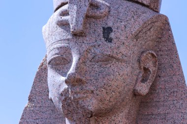 St. Petersburg, Rusya - 24 Haziran 2021: St. Petersburg 'daki Neva seti üzerindeki Antik Mısır sfenksleri.