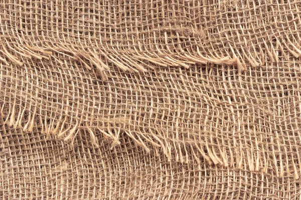 大細胞との自然な芽 メッシュと繊維の粗い織物の質感 — ストック写真