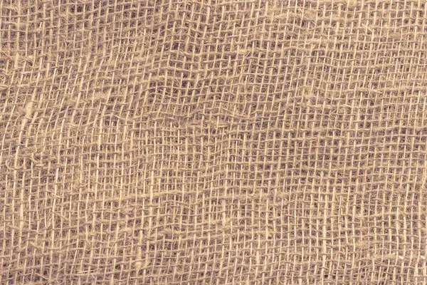 大細胞との自然な芽 メッシュと繊維の粗い織物の質感 — ストック写真