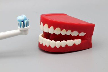 Çırpınan dişlere diş fırçası teklif ediliyor.