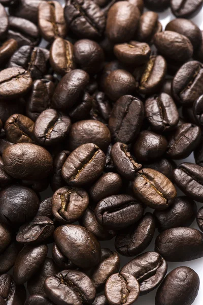 Fresh coffee beans background — Stock Photo, Image