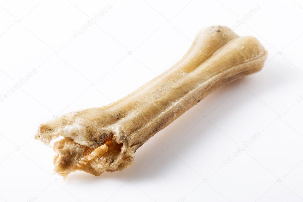 Eaten dog treat bone on background
