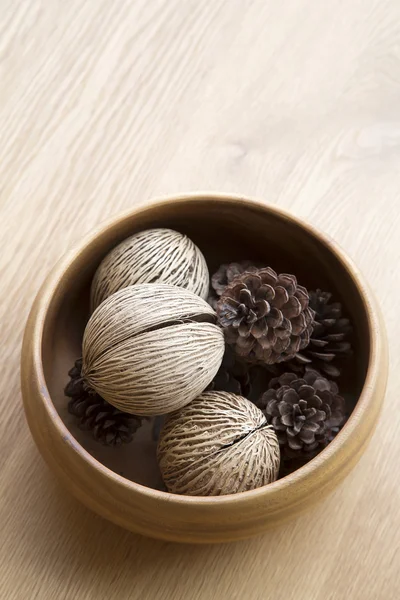 Sosna i suszonych nasion drewniane do dekoracji — Zdjęcie stockowe