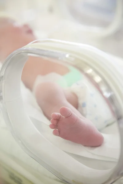 Newborn baby feet in incubator — Stock Photo, Image