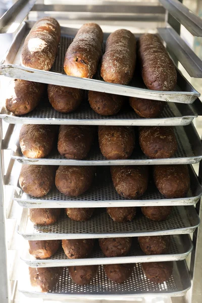 Baguettes frescos en bandeja apilados en estante — Foto de Stock