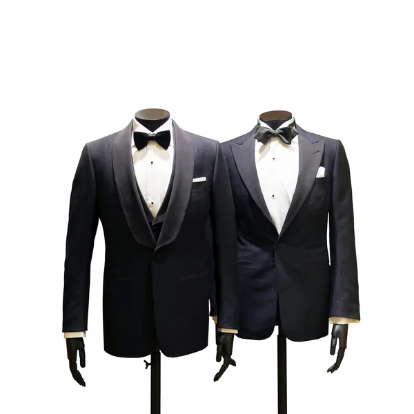 Tuxedo stands on background — Stock Photo, Image