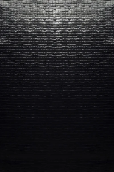 블랙 악어 가죽 피부 모양 배경 — 스톡 사진