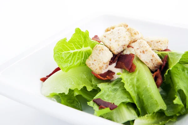 Caesar salad on background — Stock Photo, Image