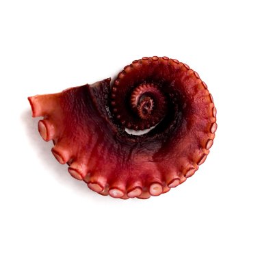 Kırmızı ahtapot arka plan üzerinde yemek için hazırlanan bir parçası