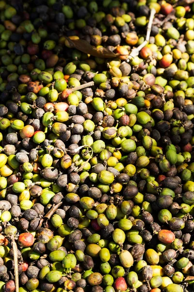 Obearbetade Kaffebönor Bakgrund Ovanifrån — Stockfoto