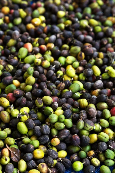 Obearbetade Kaffebönor Bakgrund Ovanifrån — Stockfoto