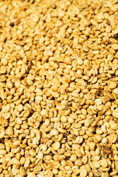 Sun Dried Coffee Beans Background — Stock Photo, Image