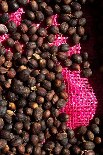 Sole Essiccato Chicchi Caffè Biologico Sfondo Vista Dall Alto — Foto Stock