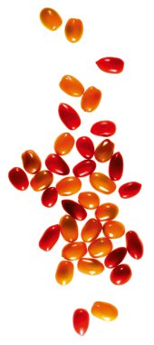 Beyaz arka planda kiraz domatesleri