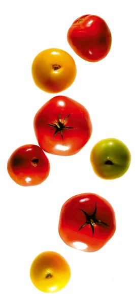 Tomates coloridos que compõem — Fotografia de Stock