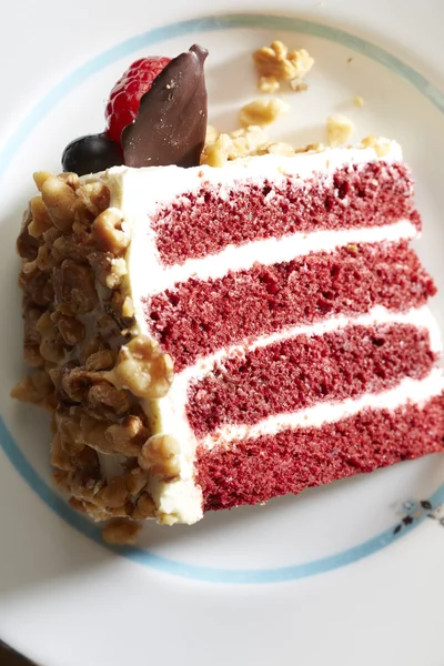 Bir dilim pasta plaka, yakın çekim — Stok fotoğraf