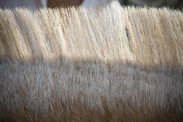 Άλογο μαλλιά μετά τον τεμαχισμό — Φωτογραφία Αρχείου