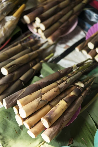 Bambuskott i färskvarumarknaden — Stockfoto