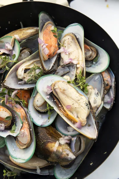 Mejillones de mar fritos en sartén —  Fotos de Stock