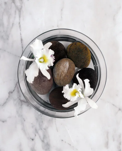 Spa rocas y orquídeas en cuenco de vidrio — Foto de Stock