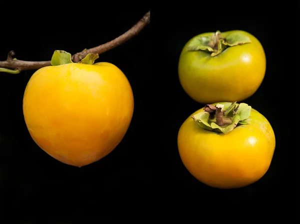 Persimmons na czarnym tle — Zdjęcie stockowe