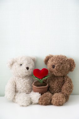 Kaç sevgilisi ayı Bebek kalp şekli bitki ile masaya