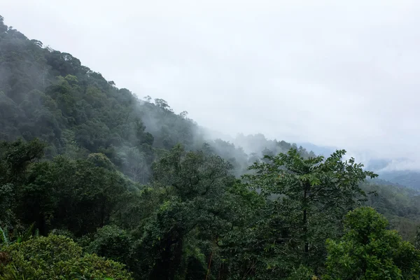 Montanha e nevoeiro pela manhã, Tailândia — Fotografia de Stock