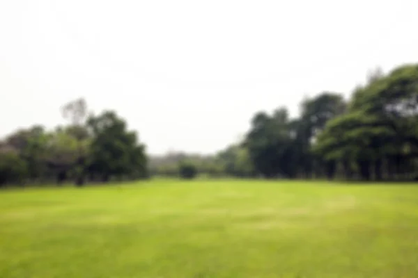 Размыть зеленое поле и фон деревьев — стоковое фото