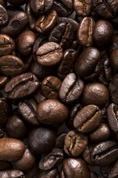 Grains de café frais Contexte — Photo