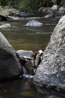 Doğada rock ve su akışı