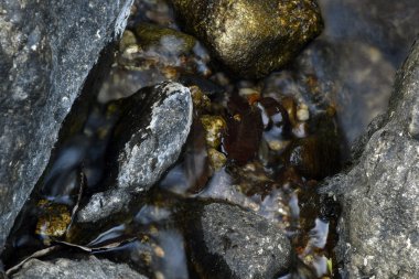 Doğada rock ve su akışı