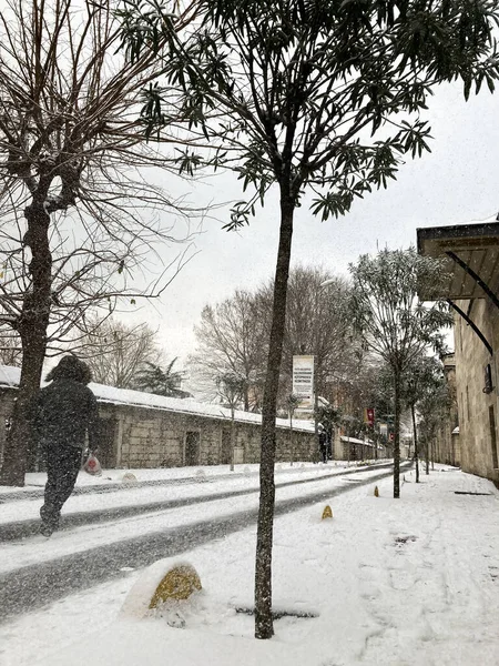 Ağaçları ve tarihi yerleri olan karlı bir yol.