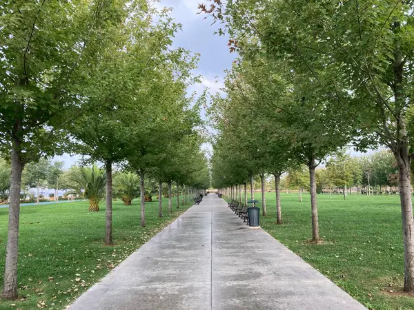 boş halka açık park yolu görünümü