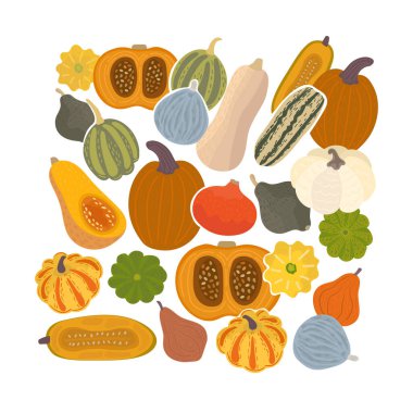 Koyu arka planda izole edilmiş renkli balkabakları. Mevsimlik sebzeli modern baskı. Kırmızı, sarı, yeşil ve turuncu sebze tasarımı. Mutlu sonbahar için yazdır.