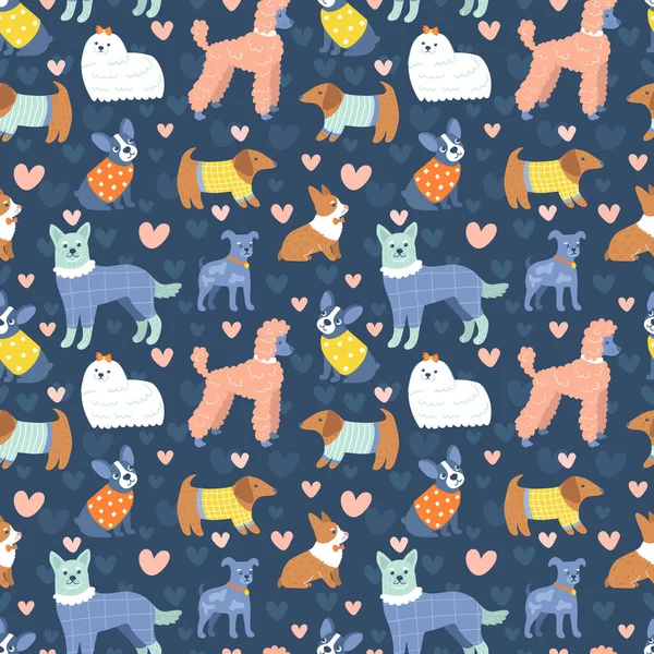 Şirin kıyafetler içindeki komik köpek desenleri. Sevimli kucak köpeği, corgi, terriers, dachshund. Farklı moda kıyafetlerle koyu arka planda renkli hayvanlar. Evcil hayvanlı modern baskı. El çizimi.