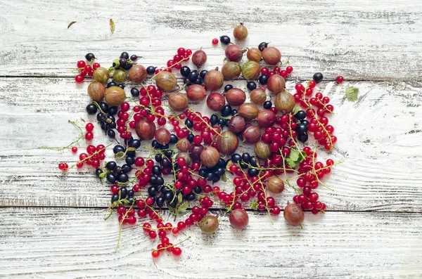 Black and red currants gooseberries on white wooden background — Stock Photo, Image