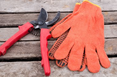 Budayıcı Bahçe eldiven üzerinde