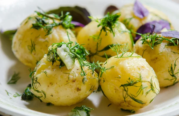 Young boiled potatoes with dill — Stock Photo, Image