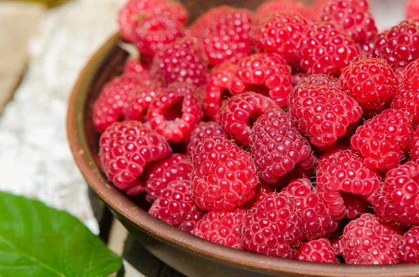 Framboises fraîches mûres dans une assiette d'argile — Photo