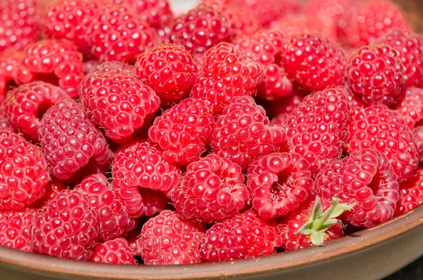 Framboises fraîches mûres dans une assiette d'argile — Photo