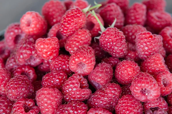 Framboises fraîches mûres dans une assiette d'argile — Photo