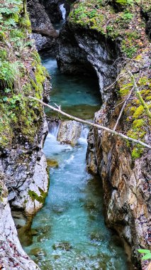 Berrak dağ suyunun yosunlu yosunlu uçurumlar ve Alpler 'deki yeşilliklerle çevrili kayalık havuza aktığı doğal turkuaz bir havuz..