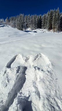 Kar meleği, karın üzerinde melek şeklinde ayak izi. Arka planda karla kaplı kozalaklı ağaçlar ve mavi gökyüzü olan bir orman var..